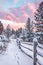 Winter Wonderland at Twilight With Fresh Snow Covering a Forest Path