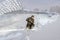 Winter zander fishing. Fisherman catching walleye fish on snowy ice at frozen lake on blurred pikeperch background. Soft focus