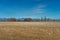 Wintering Lesser Snow Geese, Chen caerulescens, feeding and resting in farm field, Brunswick Point, BC, Canada.