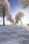 Winterlandschap, Winter landscape