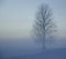 Wintermist