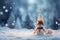 Winters charm Christmas scene, snow, blurred bokeh, perfect for greetings