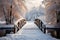 Winters charm a snow covered wooden bridge on a snowy day