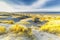 Winters dune landscape at Dutch North Sea beach during early sunrise