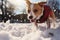 Winters enchantment transformed park as puppy devours fresh snow