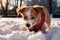 Winters enchantment transformed park as puppy devours fresh snow