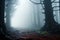 Winters enigmatic forest, 3D art unveils misty, towering secrets