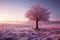 Winters scenic splendor features a solitary, graceful tree in solitude