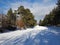 wintersport in snow piste in a park in berlin, germany