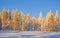 Wintertime in Bavarian Forest,Bavaria,Germany