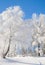 Wintertime in Bavarian Forest,Bavaria,Germany