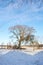 Wintertime - countryside in Denmark. Winter landscape on a sunny day with blue sky.