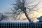 Wintertime, garden and fence covered with snow