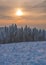 Wintertime in Harz National Park,Germany