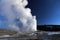 Wintertime image in Yellowstone National Park.