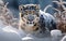 Wintertime Wanderer: AI-Rendered Snow Leopard Portrait