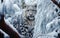 Wintertime Wanderer: AI-Rendered Snow Leopard Portrait