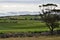 Wintery day at a vineyard in McLaren Vale