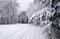 a wintery landscape of Bavarian countryside with trees covered with snow and rime ice around Christmas time (Germany)