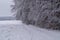 a wintery landscape of Bavarian countryside with trees covered with snow and rime ice around Christmas time (Germany)