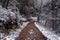 Wintery scene of snowy trail in the woods
