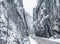 Wintery snowcovered mountain road with white snowy spruces and rocks. Wonderful wintry landscape. Travel background.
