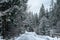 Wintery snowcovered mountain road with white snowy spruces. Travel background. Transportation