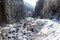 Wintery snowy path with trees and small river in Stubai Alps mountains