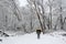 Wintery Trail around Burnaby Lake