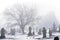 Wintry Cemetery In Shrouded in Fog