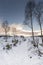 Wintry moorland track at Aviemore in Scotland