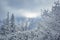 Wintry mountainscape in High Tatras