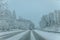 Wintry Path Through a Chilly Forest with Snow Covered Trees. Winter road through snowy forest