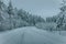 Wintry Path Through a Chilly Forest with Snow Covered Trees. Winter road through snowy forest