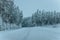 Wintry Path Through a Chilly Forest with Snow Covered Trees. Winter road through snowy forest