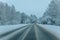 Wintry Path Through a Chilly Forest with Snow Covered Trees. Winter road through snowy forest