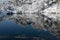 Wintry reflection in a still, blue pond