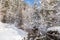 Wintry river in the alps