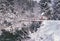 Wintry river in the alps