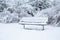 A Wintry Scene in a Park with  Wooden Bench, Trees and Bushes all Covered with Snow