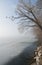 Wintry scenery with fog at the lake