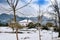 Wintry snowy landscape. trees without leaves in front of a house.