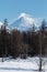 Wintry volcano landscape and scenery winter forest on Kamchatka Peninsula