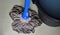 Wipe floor with a mop - mopping the floor with disinfectant liquid and water