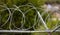 Wire barbed mesh metal fence, sharp with razors, circle. Warning of danger for enemies. Blurred nature background, close up view.