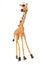 Wire and beadwork giraffe