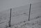 Wire fence with barbed wire. On a snowy meadow is a fence with metal posts and wire mesh. view from above. protective fence of pri