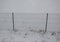 Wire fence with barbed wire. On a snowy meadow is a fence with metal posts and wire mesh. view from above. protective fence of pri