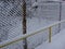 Wire fence in the snow.  Metallic net with snow. Metal net in winter covered with snow. Wire fence closeup. Steel wire mesh fence