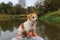 A wire-haired Jack Russell terrier stands on the bow of a red water kayak. Dog in nature on board a boat. Animal on a